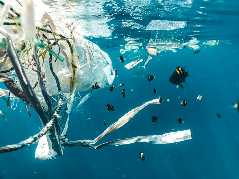Ocean Conservancy